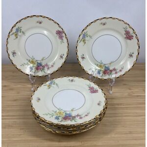 Black Knight Waldenburg Cynthia 6" Tea Cup Saucer Floral Made Germany 6 Avail